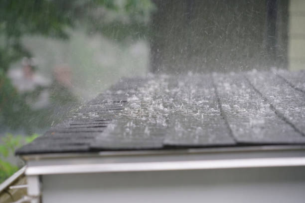 Best Roof Insulation Installation  in Albany, GA